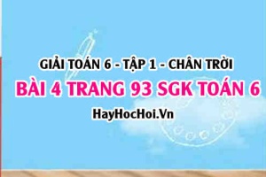 Giải bài 4 trang 93 Toán 6 Tập 1 SGK Chân trời sáng tạo